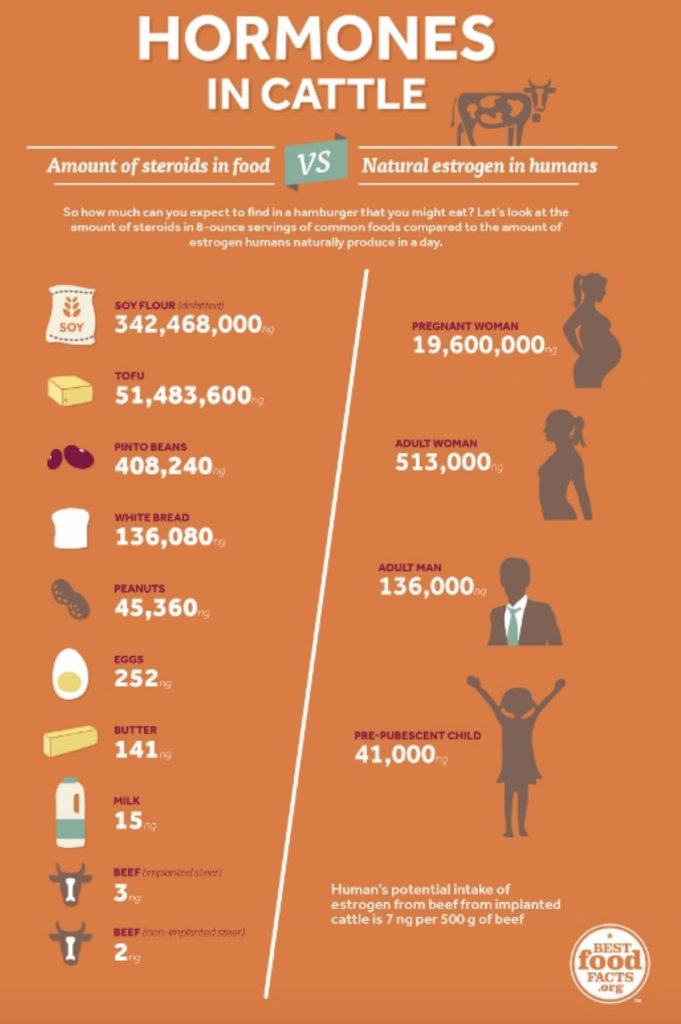 Overview of hormone-content in foods and humans.